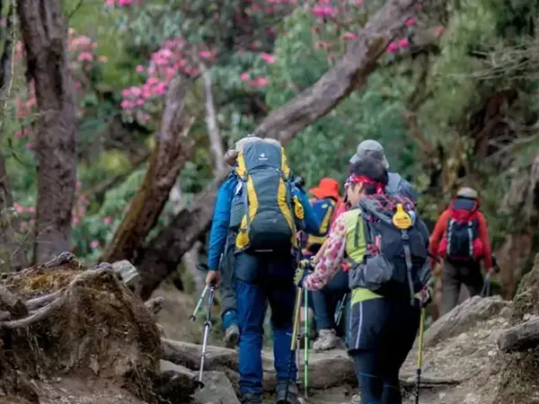 Trekking in Nepal